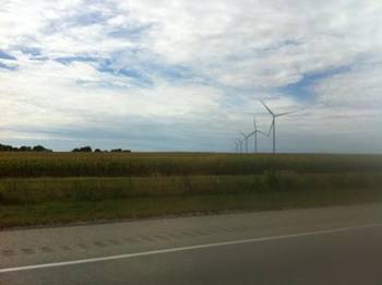 IMG_0562_525x392